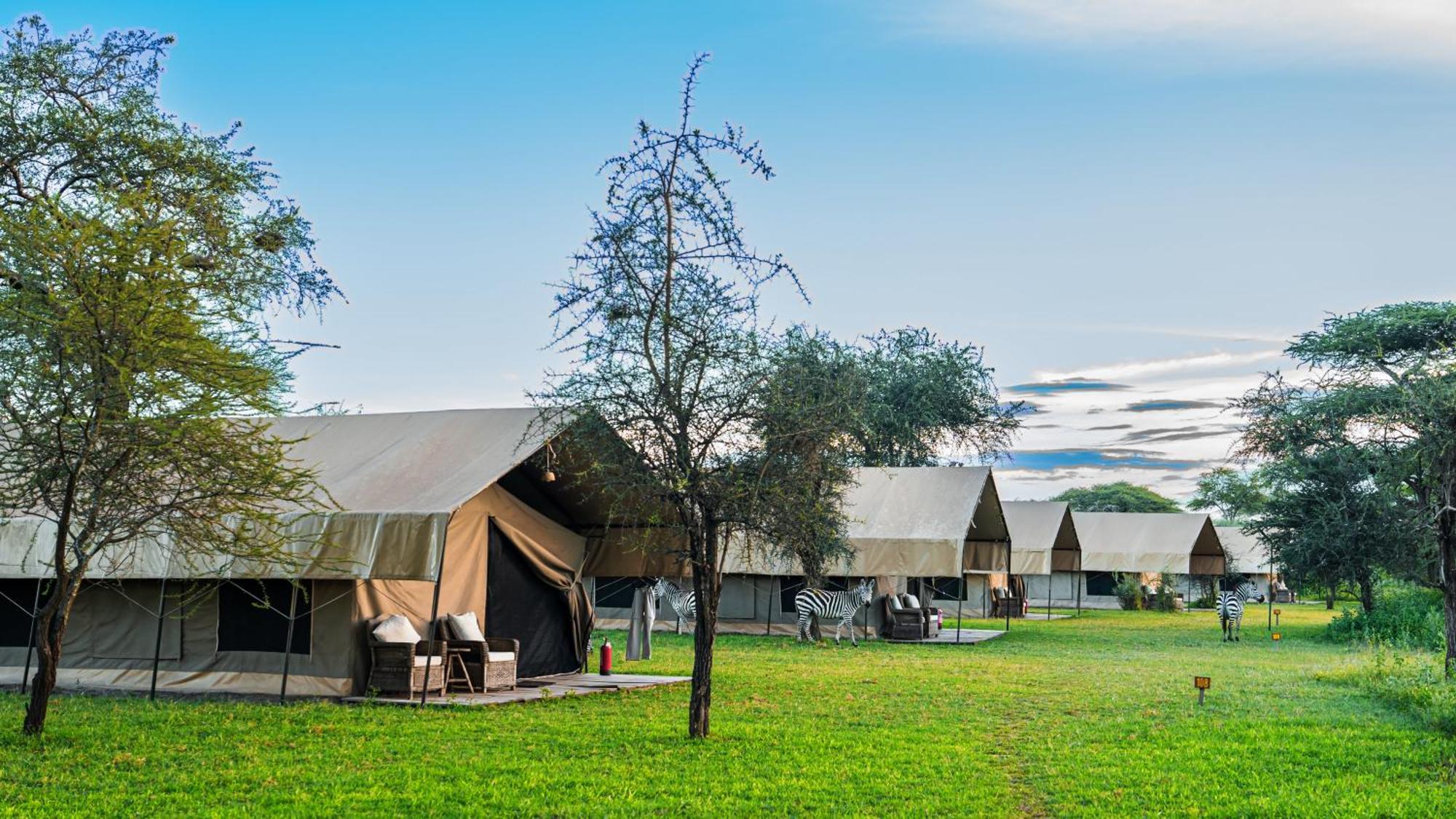 Africa Safari South Serengeti Ndutu Ngorongoro Sinoni Экстерьер фото