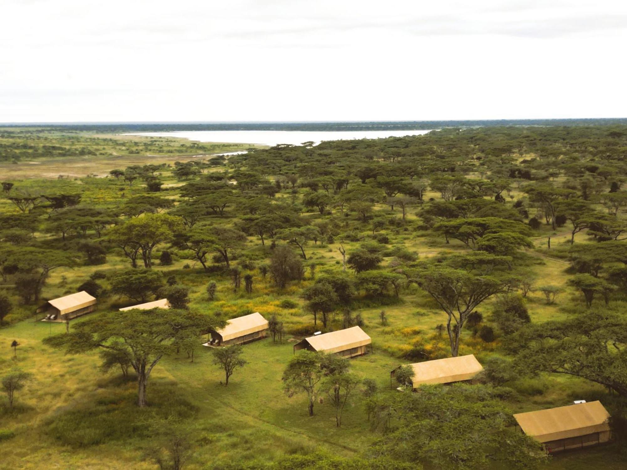 Africa Safari South Serengeti Ndutu Ngorongoro Sinoni Экстерьер фото