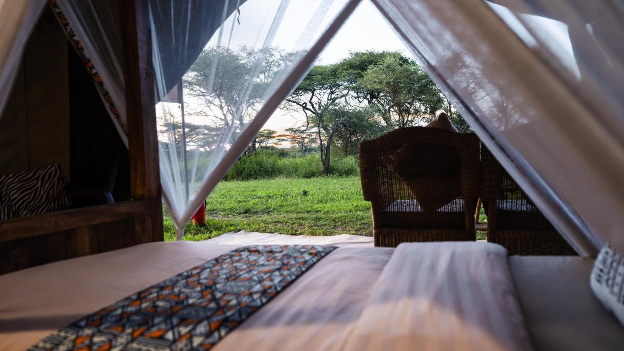 Africa Safari South Serengeti Ndutu Ngorongoro Sinoni Экстерьер фото